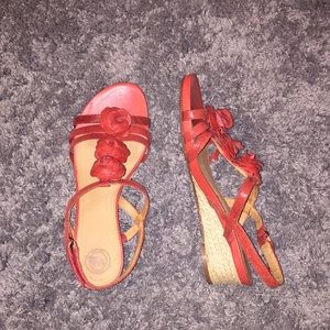 Nurture one inch coral wedges